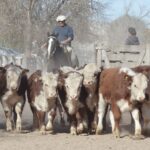 WhatsApp Image 2022-06-30 at 3.54.23 PM (2)