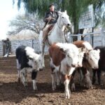 WhatsApp Image 2022-06-30 at 3.54.24 PM (1)