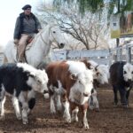 WhatsApp Image 2022-06-30 at 3.54.24 PM