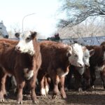 WhatsApp Image 2022-06-30 at 3.54.26 PM (1)