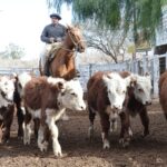 WhatsApp Image 2022-06-30 at 3.54.26 PM