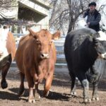 WhatsApp Image 2022-06-30 at 3.54.30 PM