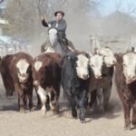 WhatsApp Image 2022-06-30 at 3.54.37 PM (2)