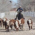 WhatsApp Image 2022-06-30 at 3.54.38 PM (1)