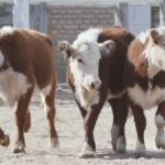 WhatsApp Image 2022-06-30 at 3.54.39 PM