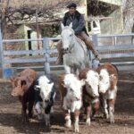 WhatsApp Image 2022-06-30 at 3.54.39 PM (2)