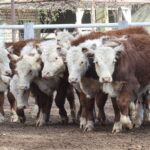 WhatsApp Image 2022-06-30 at 3.54.41 PM