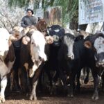 WhatsApp Image 2022-06-30 at 3.54.41 PM (2)