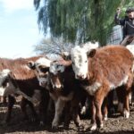 WhatsApp Image 2022-06-30 at 3.54.42 PM (1)