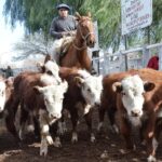 WhatsApp Image 2022-06-30 at 3.54.42 PM