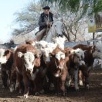 WhatsApp Image 2022-06-30 at 3.54.44 PM (1)