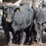 WhatsApp Image 2022-06-30 at 3.54.44 PM