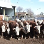 WhatsApp Image 2022-06-30 at 3.54.44 PM (2)