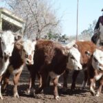 WhatsApp Image 2022-06-30 at 3.54.45 PM (1)