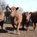 WhatsApp Image 2022-06-30 at 3.54.46 PM