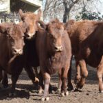 WhatsApp Image 2022-06-30 at 3.54.46 PM (2)