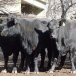 WhatsApp Image 2022-06-30 at 3.54.46 PM (3)