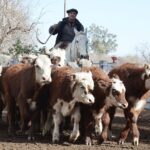 WhatsApp Image 2022-06-30 at 3.54.47 PM (1)