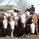 WhatsApp Image 2022-06-30 at 3.54.50 PM (1)