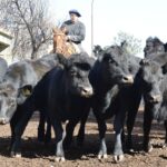 WhatsApp Image 2022-06-30 at 3.54.50 PM