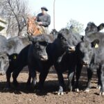 WhatsApp Image 2022-06-30 at 3.54.53 PM