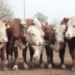 WhatsApp Image 2022-07-28 at 12.27.40 PM (1)