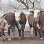 WhatsApp Image 2022-07-28 at 12.27.46 PM (3)