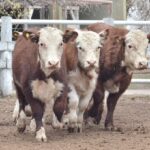 WhatsApp Image 2022-07-28 at 12.27.47 PM