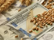 Preocupación por el dólar récord: productores piden un «urgente» plan económico