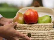 Argentina: La superficie cultivada con peras y manzanas en Neuquén cae un 23% en una década