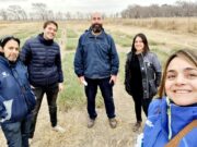 Flechilla negra y pasto llorón: avances del Proyecto de Mejoramiento Genético en San Luis