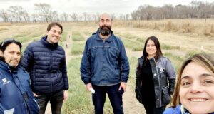 Flechilla negra y pasto llorón: avances del Proyecto de Mejoramiento Genético en San Luis