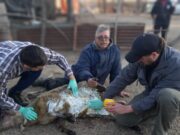 San Luis: asistieron a productores y animales afectados por incendios en El Trapiche