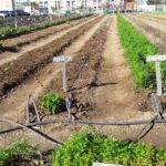 300072040_380432077607131_655108767995082994_n