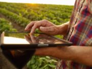 ¿Cómo implementar un sistema de gestión en mi empresa agropecuaria?