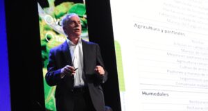 8 preguntas frecuentes sobre Bonos de Carbono