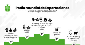 Informe FADA: 21% más de ingreso de divisas agroindustriales ¿Buena noticia para todos?