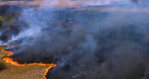 San Luis: en lo que va del año los incendios afectaron a más de 40 mil hectáreas