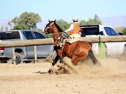 La Fundación San Ignacio y su Centro Ecuestre inaugurarán la pista de caballos criollos con un evento abierto al público