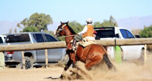 La Fundación San Ignacio y su Centro Ecuestre inaugurarán la pista de caballos criollos con un evento abierto al público
