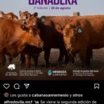 WhatsApp Image 2022-08-22 at 6.10.43 AM