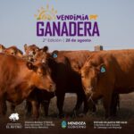 WhatsApp Image 2022-08-22 at 6.25.15 AM