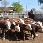 WhatsApp Image 2022-08-25 at 5.54.28 PM