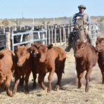 WhatsApp Image 2022-08-28 at 12.30.04 PM (1)