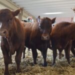 WhatsApp Image 2022-08-28 at 12.30.04 PM