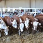 WhatsApp Image 2022-08-28 at 12.30.04 PM (2)