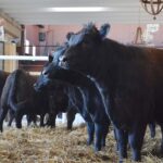 WhatsApp Image 2022-08-28 at 12.30.05 PM