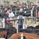 WhatsApp Image 2022-08-28 at 12.30.22 PM (1)