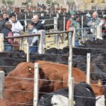 WhatsApp Image 2022-08-28 at 12.30.22 PM (2)