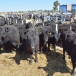 WhatsApp Image 2022-08-28 at 12.30.23 PM